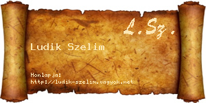 Ludik Szelim névjegykártya